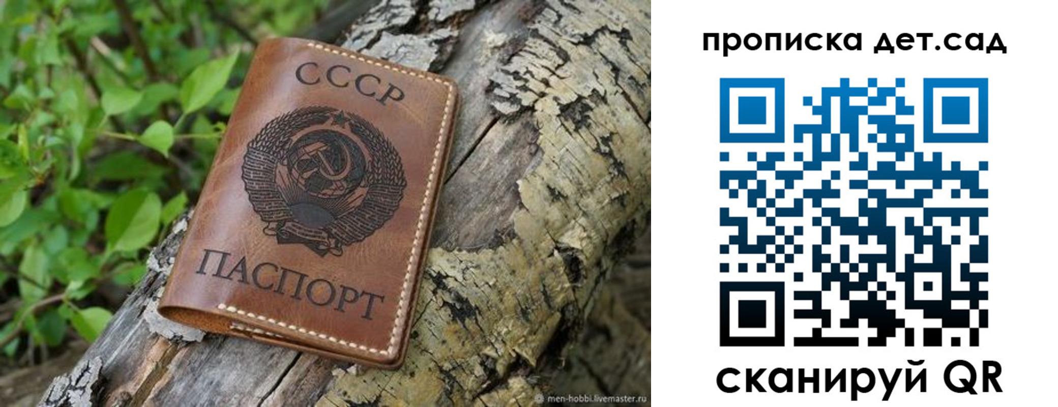 прописка иностранных граждан в Спасске-Дальнем